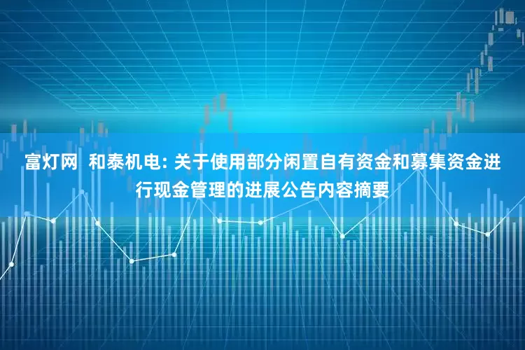 富灯网  和泰机电: 关于使用部分闲置自有资金和募集资金进行现金管理的进展公告内容摘要