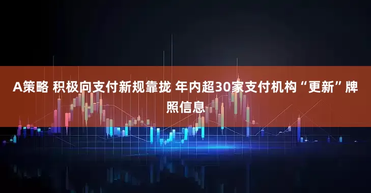 A策略 积极向支付新规靠拢 年内超30家支付机构“更新”牌照信息