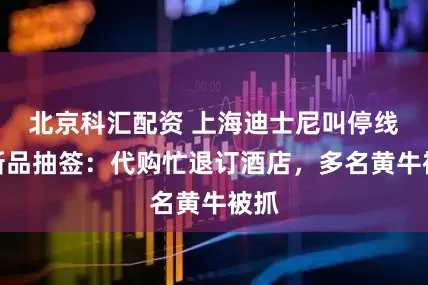 北京科汇配资 上海迪士尼叫停线下新品抽签：代购忙退订酒店，多名黄牛被抓