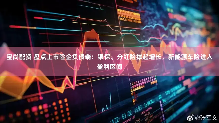 宝尚配资 盘点上市险企负债端：银保、分红险撑起增长，新能源车险进入盈利区间