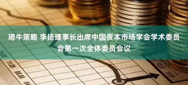 珺牛策略 李扬理事长出席中国资本市场学会学术委员会第一次全体委员会议