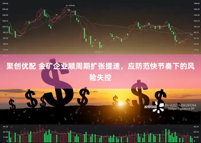聚创优配 金矿企业顺周期扩张提速，应防范快节奏下的风险失控