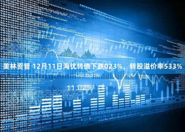 美林资管 12月11日海优转债下跌023%，转股溢价率533%