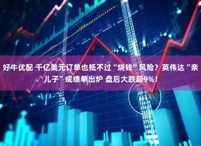 好牛优配 千亿美元订单也抵不过“烧钱”风险？英伟达“亲儿子”成绩单出炉 盘后大跌超9%！